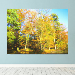 Herbstwälder & Sonnenschein - Leinwanddruck