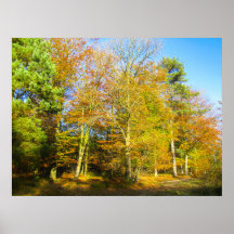 Herbstwälder & Sonnenschein - Personalisiert