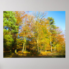 Herbstwälder & Sonnenschein - Personalisiert Poster
