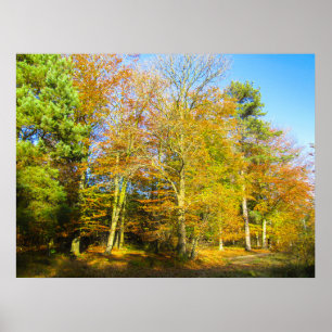 Herbstwälder & Sonnenschein - Personalisiert Poster