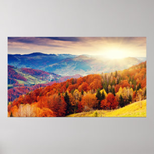 Herbstwaldlandschaft Poster
