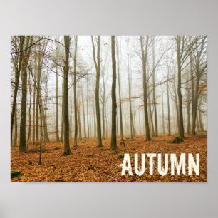 Herbstwaldnebel und Nebelfallsaison Poster