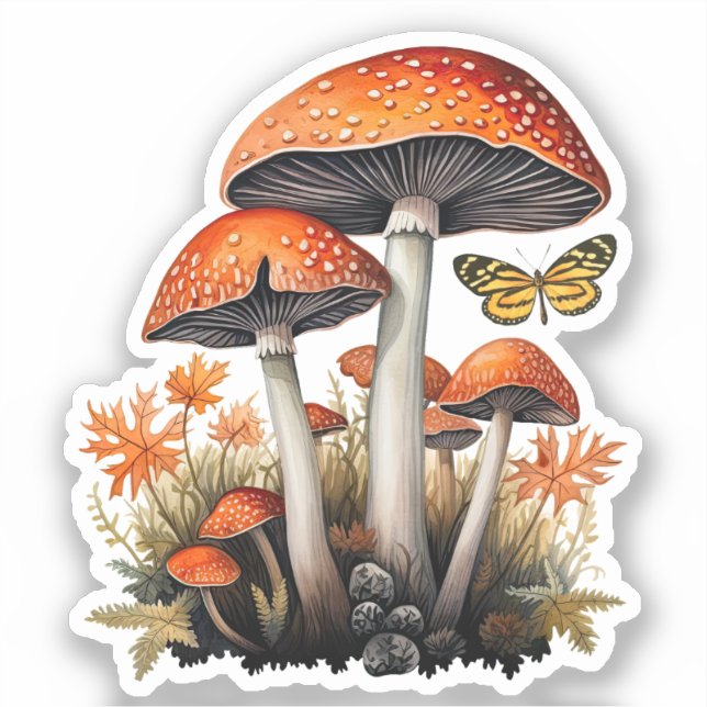 Herbstwaldpilze Aufkleber (Vorderseite)