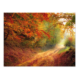 Herbstwaldstrecke Fotodruck