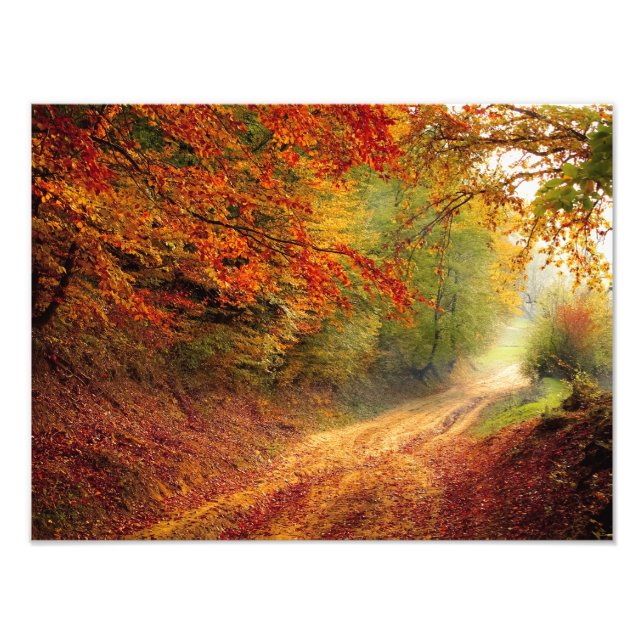 Herbstwaldstrecke Fotodruck (Vorne)