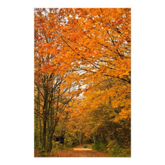 Herbstwaldstrecke Fotodruck