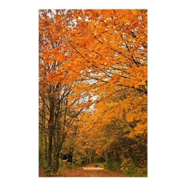 Herbstwaldstrecke Fotodruck (Vorne)