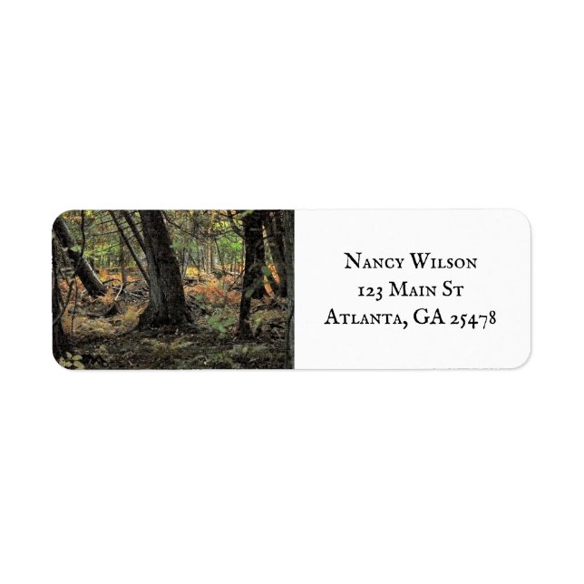 Herbstwaldszene (Vorne)