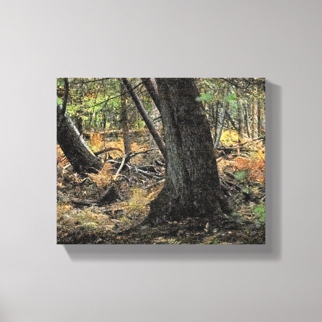 Herbstwaldszene Leinwanddruck (Vorderseite)