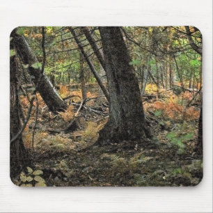 Herbstwaldszene Mousepad