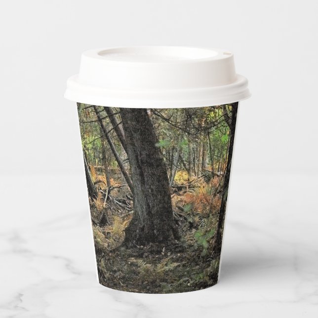 Herbstwaldszene Pappbecher (Vorderseite)
