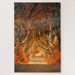 Herbstwaldweg