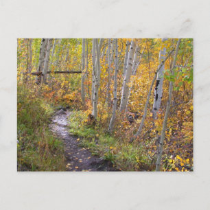 Herbstwanderung Postkarte