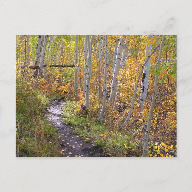 Herbstwanderung Postkarte (Vorderseite)