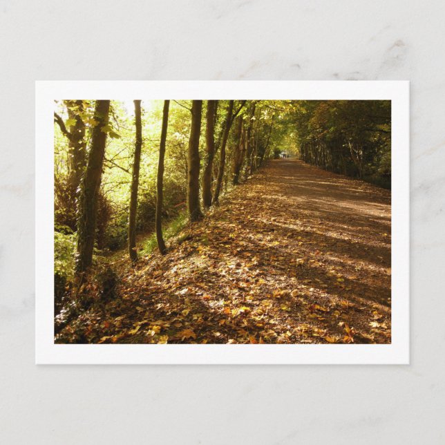 Herbstweg: Keswick Postkarte (Vorderseite)