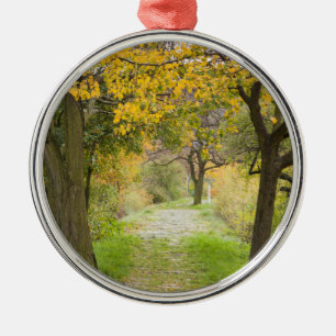 Herbstweg Ornament Aus Metall