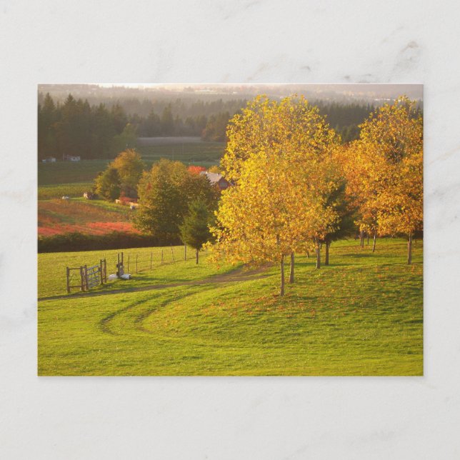 Herbstweg Postkarte (Vorderseite)