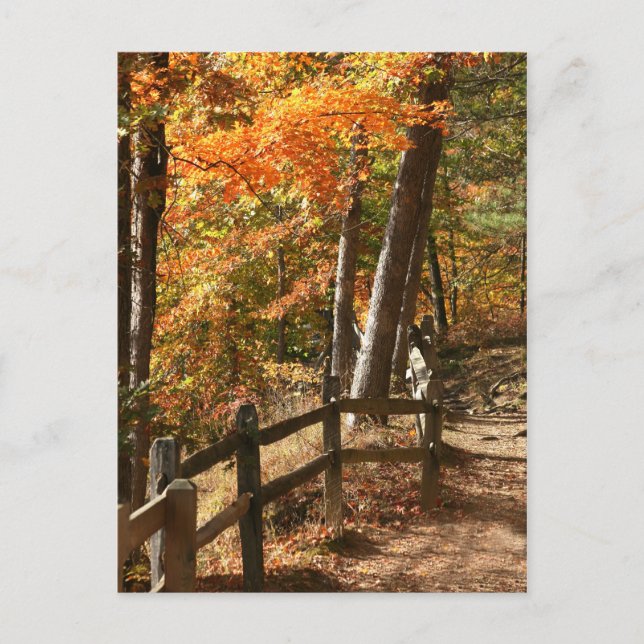 Herbstweg Postkarte (Vorderseite)