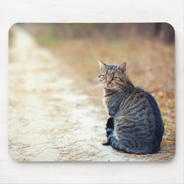 Herbstweg Tabby Mousepad (Vorne)