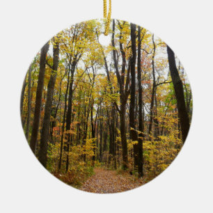 Herbstweg und Golden Blätter im Laurel Hill Park Keramik Ornament