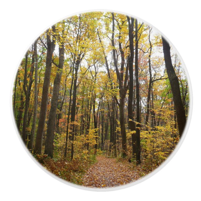 Herbstweg und Golden Blätter im Laurel Hill Park Keramikknauf (Vorderseite)