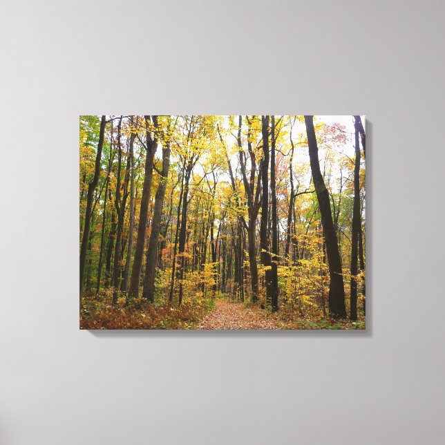 Herbstweg und Golden Blätter im Laurel Hill Park Leinwanddruck (Vorderseite)