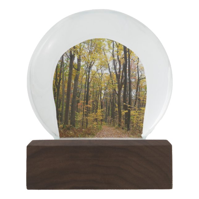 Herbstweg und Golden Blätter im Laurel Hill Park Schneekugel (Vorderseite)