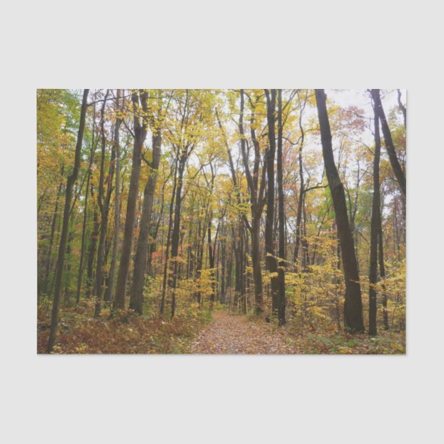 Herbstweg und Golden Blätter im Laurel Hill Park Seidenpapier (Vorderseite)