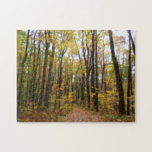 Herbstweg und goldene Blätter im Laurel Hill Park