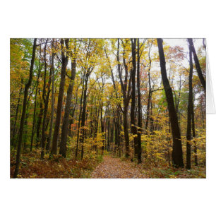 Herbstweg und goldene Blätter im Laurel Hill Park