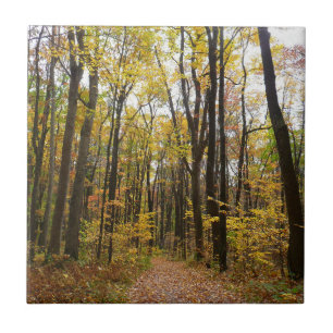 Herbstweg und goldene Blätter im Laurel Hill Park Fliese