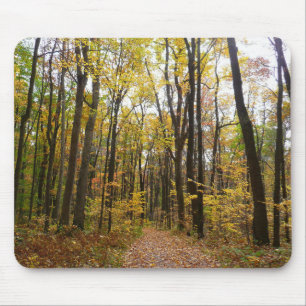 Herbstweg und goldene Blätter im Laurel Hill Park Mousepad