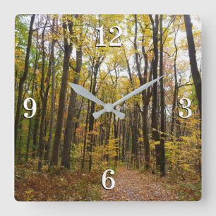 Herbstweg und goldene Blätter im Laurel Hill Park Quadratische Wanduhr
