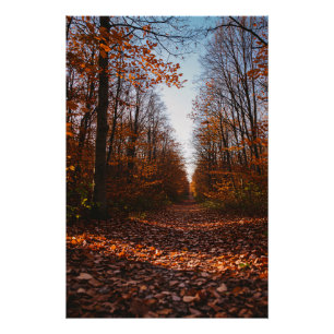 Herbstweg: Wo die Zeit innehält Poster