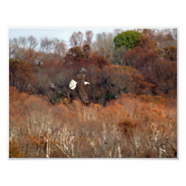 Herbstwings Fotodruck (Vorne)