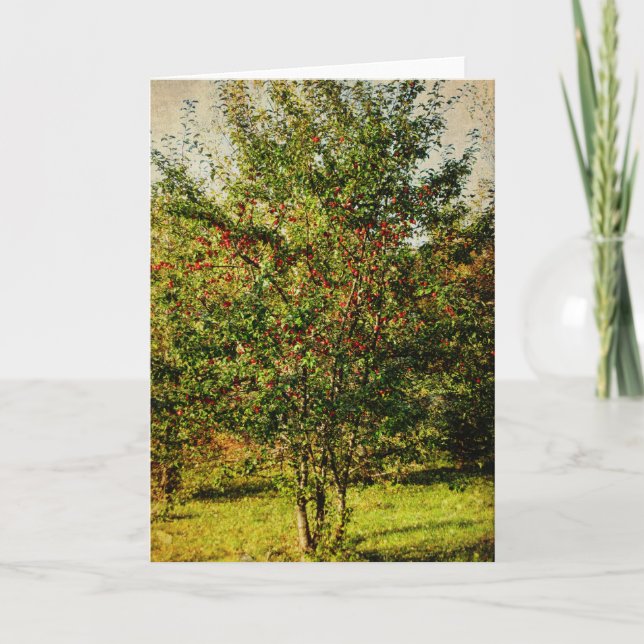 Herbstwohnung Feiertagskarte (Vorderseite)