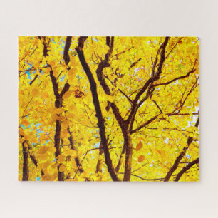 Herbstzweige, goldgelb