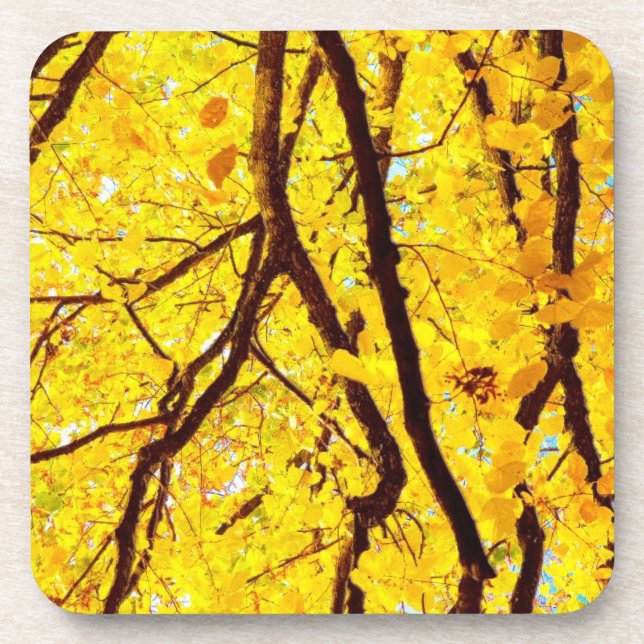Herbstzweige - goldgelb untersetzer (Vorderseite)