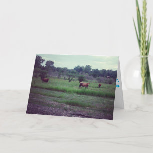 "Herd of Cows" Get Well Card Karte