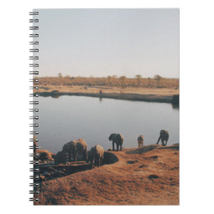 HERD VON ELEPHANEM TRINKWASSER AUS DEM SEE NOTIZBLOCK