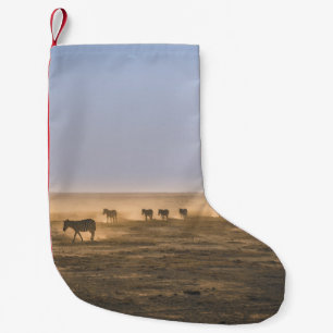 HERD ZEBRA AUF SAND-FELD KLEINER WEIHNACHTSSTRUMPF