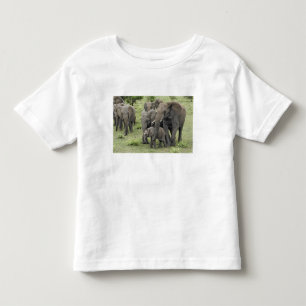 Herde afrikanischer Elefanten, Loxodonta africana, Kleinkind T-shirt