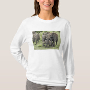 Herde afrikanischer Elefanten, Loxodonta africana, T-Shirt