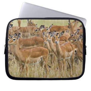 Herde der Frau Impala, Masai Mara, Kenia. Laptopschutzhülle