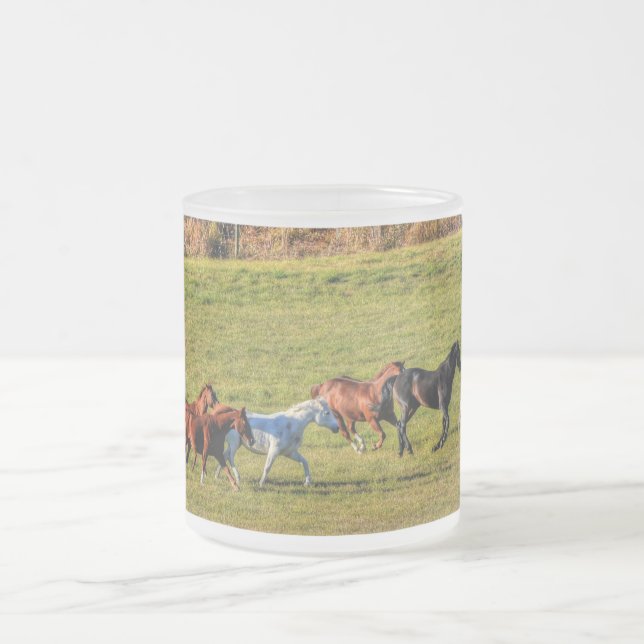 Herde, der Reitpferde betreibt, Pferdekühe Foto 2 Mattglastasse (Mittel)