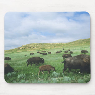 Herde von Bisongras, Gras von Prärien am Theodore Mousepad