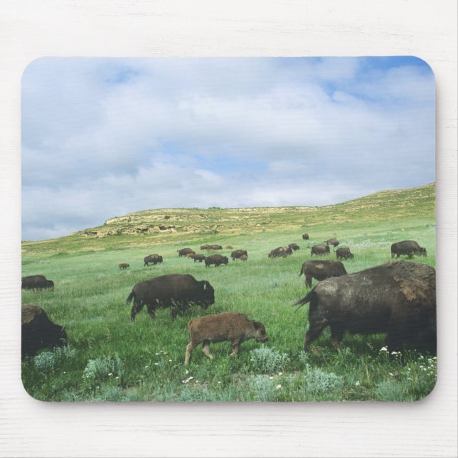 Herde von Bisongras, Gras von Prärien am Theodore Mousepad (Vorne)