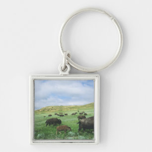 Herde von Bisongras, Gras von Prärien am Theodore Schlüsselanhänger