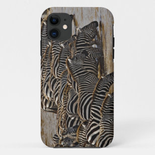 Herde von Burchells Zebras, die von Mara trinken Case-Mate iPhone Hülle