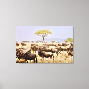 Herde von GNU Wildbeest Leinwanddruck
